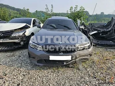 2019, BMW / 320, VIN: WBA5V5101KAJ57534, 74074 км., diesel