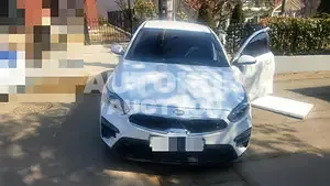 2019, BMW / Z1, VIN: KNAF241BELA871211, gas, 1598 куб.см.