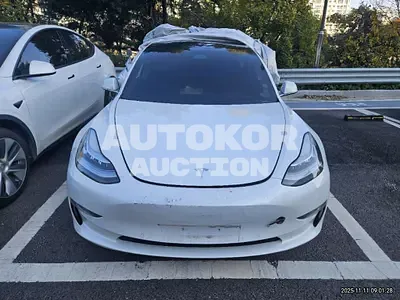 2019, Tesla / Model 3, 238982 км., electric