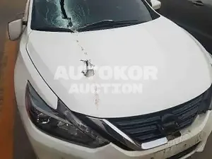 2017, Nissan / Altima, VIN: 1N4AL3AP3HC198095, 60000 км., gas