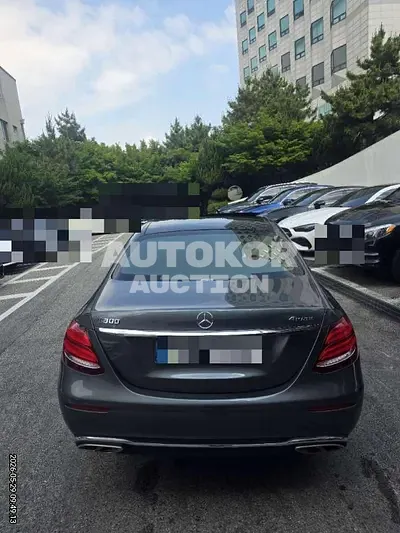 2019, Mercedes-Benz / e300, 88604 км., gas