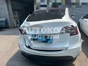 2021, Tesla / Model Y, electric