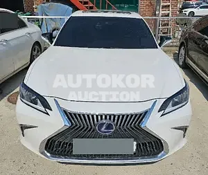 2020, Lexus / ES 300, VIN: JTHBA1C19M2001155, 68248 км., hybrid