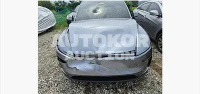 2025, Tesla / Model Y, electric, 230 куб.см.