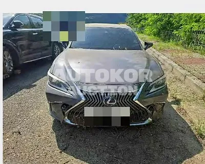 2019, Lexus / ES 300, 51077 км., hybrid, 2487 куб.см.