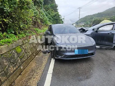 2025, Tesla / Model Y, electric, 1601 куб.см.
