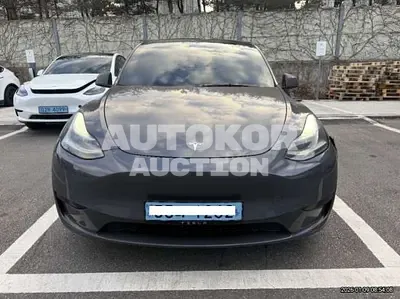 2024, Tesla / Model Y, VIN: LRWYGCFS9RC206922, 47581 км., electric