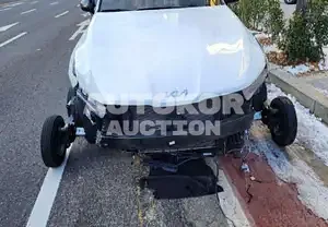 2021, Kia / K5, hybrid