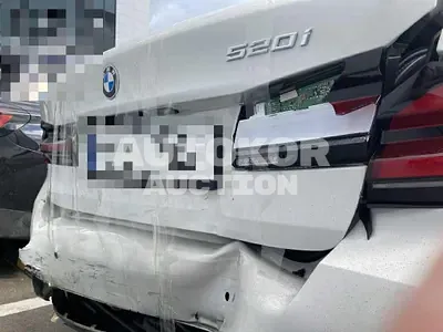 2023, BMW / 520, gas