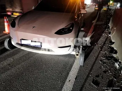 2024, Tesla / Model Y, VIN: LRWYGCFS0RC426563, 49434 км., electric