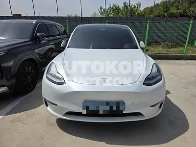 2021, Tesla / Model Y, 212051 км., electric