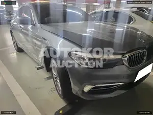 2019, BMW / 520, VIN: WBAJK9104LCD26534, gas