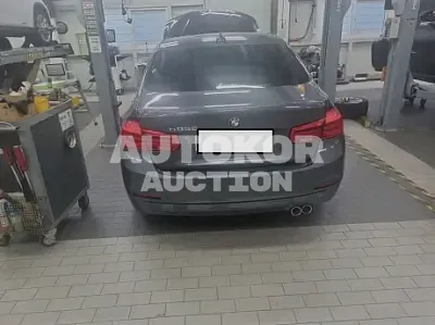 2016, BMW / 320, VIN: WBA8D1109GK413722, 74780 км., diesel