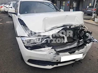 2017, BMW / 320, VIN: WBA8C5106HA067954, diesel, 1995 куб.см.