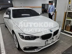 2018, BMW / 420, VIN: WBA4H3108JBM42411, 28958 км., gas