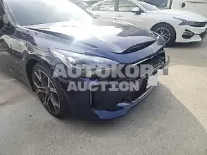 2019, Kia / Stinger, VIN: KNAE751CBKS060934, 47000 км., gas, 3342 куб.см.