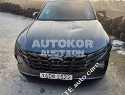 2021, Hyundai / Tucson, VIN: KMHJB81CBMU039715, 107529 км., diesel