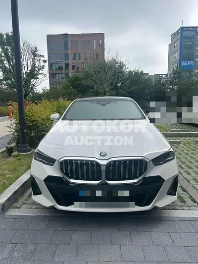 2025, BMW / 520, gas