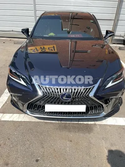 2020, Lexus / ES 300, VIN: JTHB21B13L2083185, hybrid