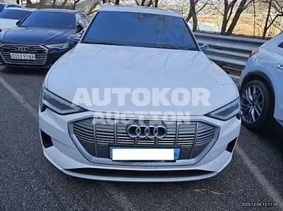 2020, Audi / e-tron, 82000 км., electric
