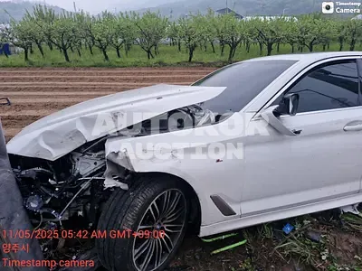 2020, BMW / 530, 72000 км., gas