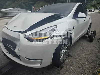 2021, Tesla / Model Y, VIN: 5YJYGDED3MF236795, electric
