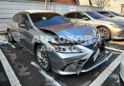 2019, Lexus / ES 300, VIN: JTHB21B12K2038155, 130000 км., hybrid