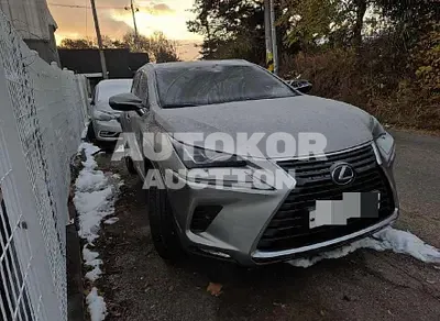 2019, Lexus / NX 300, 51197 км., hybrid, 2497 куб.см.