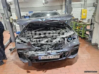 2022, BMW / X5, gas