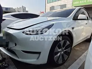 2022, Tesla / Model Y, VIN: 7SAYGDEE4NF498712, 28298 км., electric
