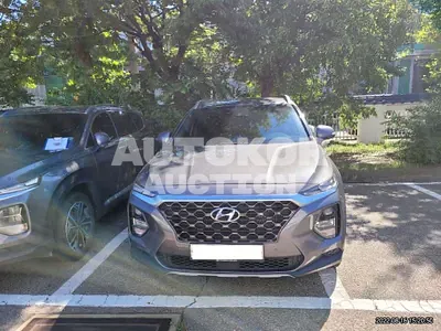 2020, Hyundai / Santa FE, VIN: KMHS281ABLU303483, 98000 км., gas