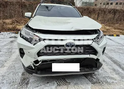 2020, Toyota / RAV4, 35035 км., hybrid