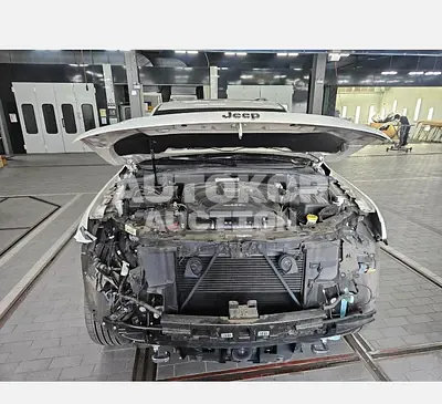 2019, Jeep / Grand Cherokee, 80017 км., diesel