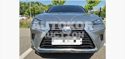 2019, Lexus / nx300h, 159605 км., hybrid, 2494 куб.см.