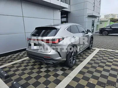 2025, Lexus / nx350h, hybrid