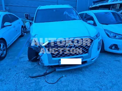 2021, Hyundai / Palisade, VIN: KMHR581ADMU183796, 48532 км., diesel, 2200 куб.см.