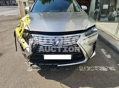 2017, Lexus / RX 450, VIN: JTJBGMCA8H2025919, 139537 км., hybrid