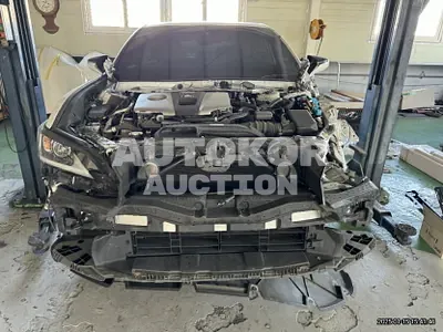 2019, Lexus / ES 300, hybrid