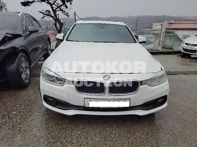 2016, BMW / 320, VIN: WBA8C5100GK635639, 145613 км., diesel
