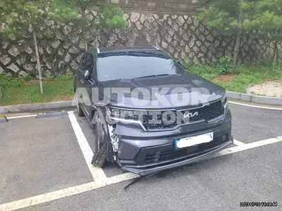 2023, Kia / Sorento, VIN: KNARK81FGPA180122, gas