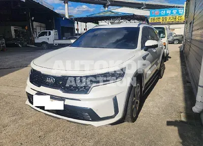 2021, Kia / Sorento, VIN: KNARF81BGMA012909, 85877 км., diesel, 2200 куб.см.