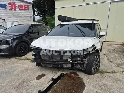 2023, Kia / Carnival, VIN: KNANC81BBPS273141, 75742 км., diesel, 2200 куб.см.
