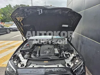 2023, Mercedes-Benz / E 250, VIN: W1KZF4FB0PB182129, gas, 1991 куб.см.