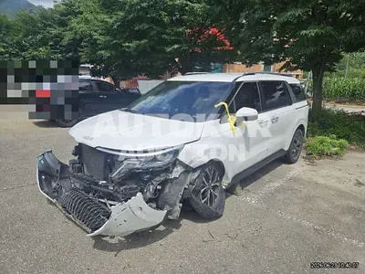 2023, Kia / Carnival, 65000 км., diesel, 2200 куб.см.