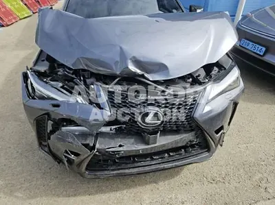 2025, Lexus / ux300h, 30000 км., hybrid