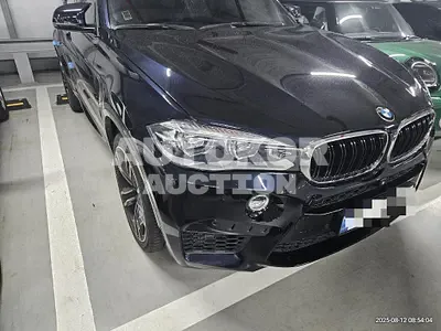 2015, BMW / X6 M, 94943 км., gas