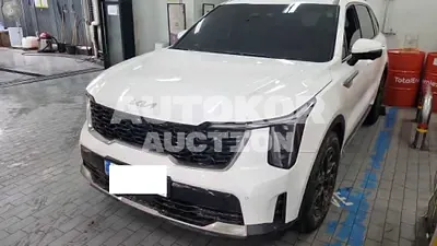 2024, Kia / Sorento, VIN: KNARK81GBRA245479, hybrid