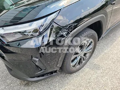 2022, Toyota / RAV4, unknown
