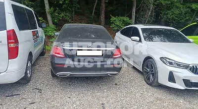 2019, Mercedes-Benz / E 220, VIN: WDDZF0EB1KA696743, diesel