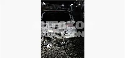 2019, Kia / Sportage, 100000 км., diesel, 1995 куб.см.